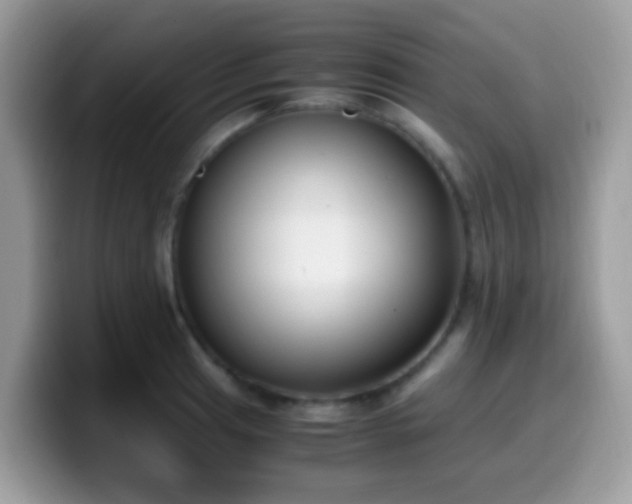 X0000099991041200805301409