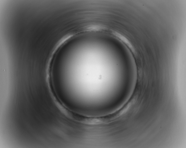X0000099991042200805301409