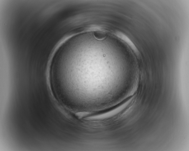 X0000099991043200805301409