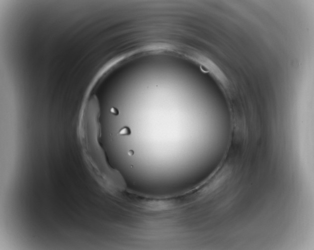 X0000099991044200805301409