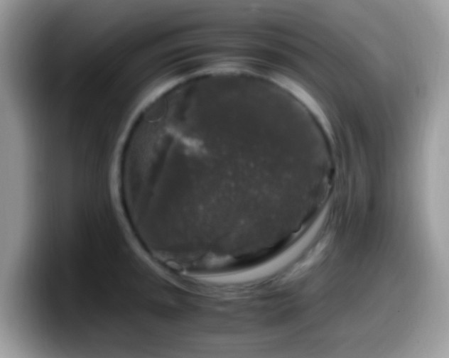 X0000099991045200805301409