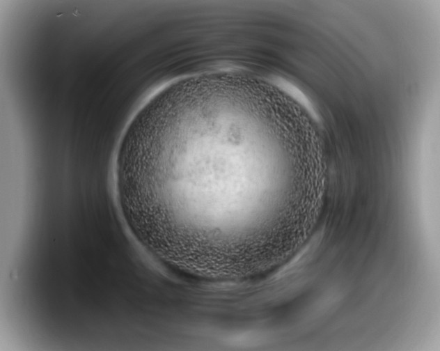 X0000099991047200805301409