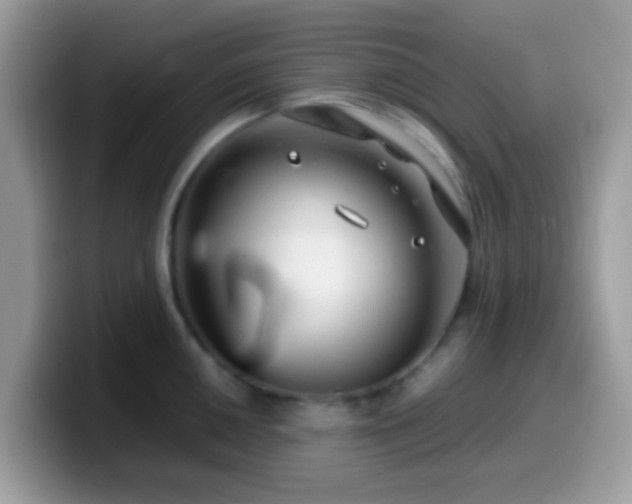 X0000099991050200805301409