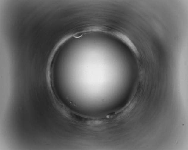 X0000099991051200805301409