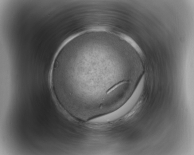 X0000099991052200805301409