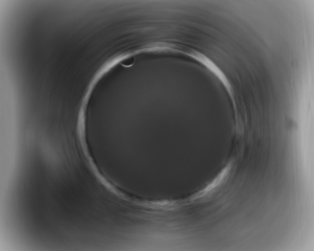 X0000099991053200805301409