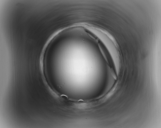 X0000099991054200805301409