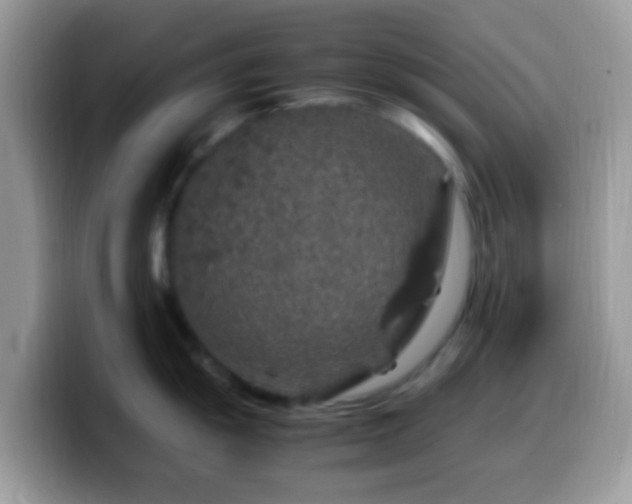 X0000099991055200805301409