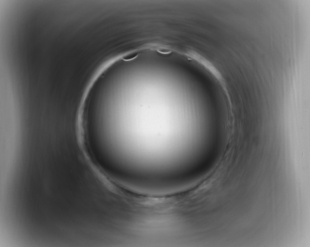 X0000099991056200805301409