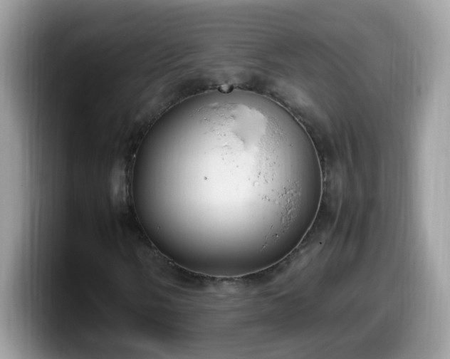 X0000099991058200805301409