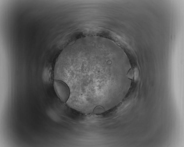 X0000099991059200805301409