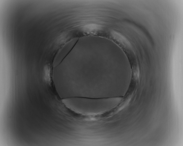 X0000099991060200805301409