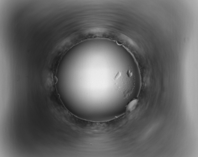 X0000099991062200805301409