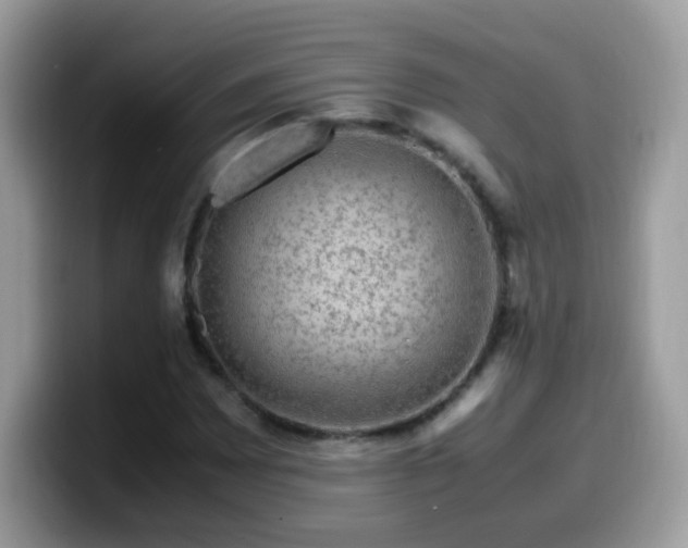 X0000099991065200805301409