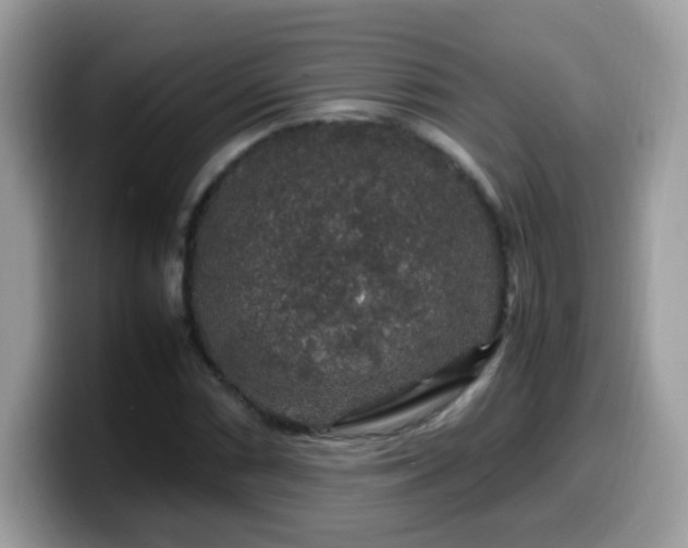 X0000099991066200805301409