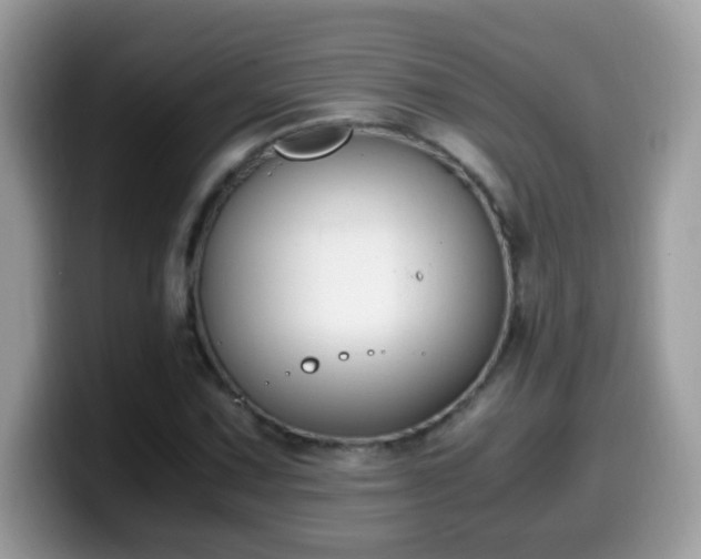 X0000099991067200805301409