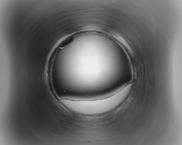X0000099991068200805301409