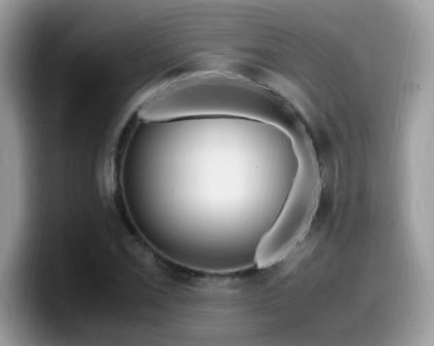 X0000099991069200805301409