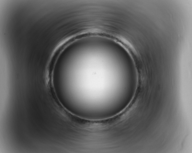 X0000099991070200805301408