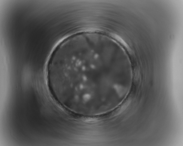 X0000099991071200805301408