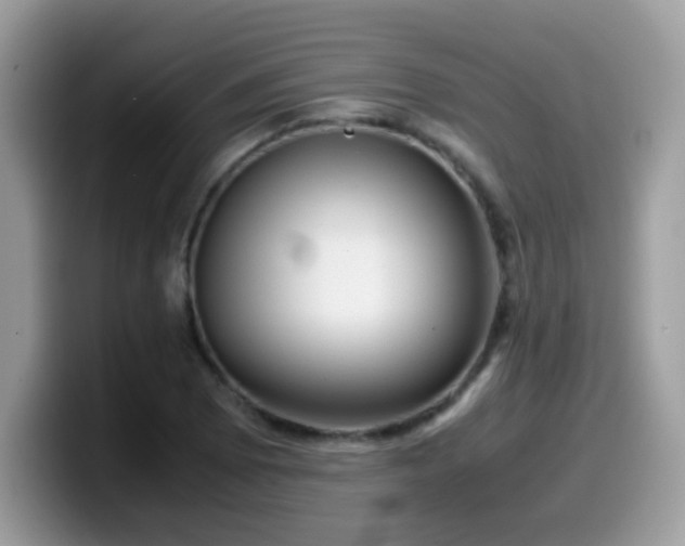 X0000099991073200805301408