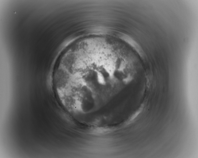X0000099991074200805301408