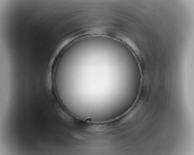 X0000099991075200805301408