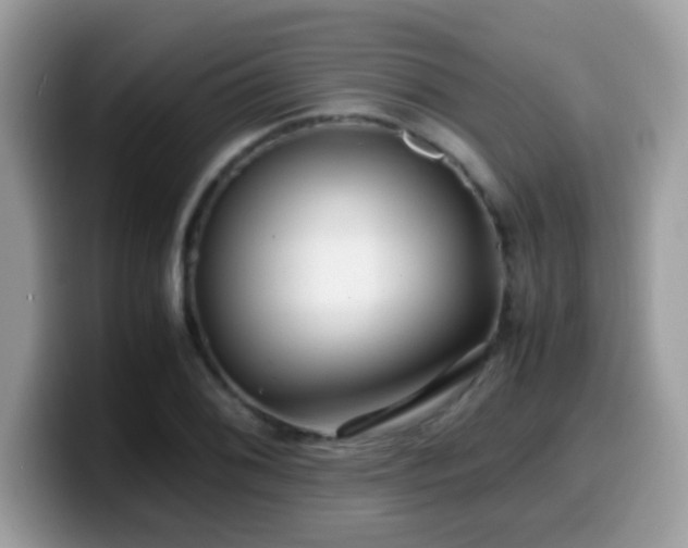 X0000099991076200805301408