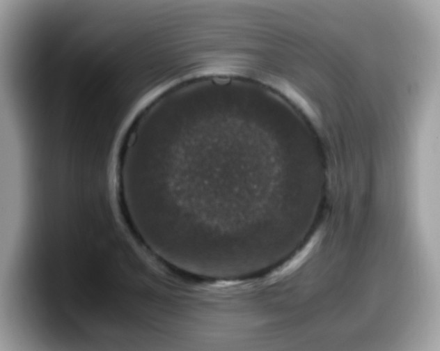 X0000099991077200805301408