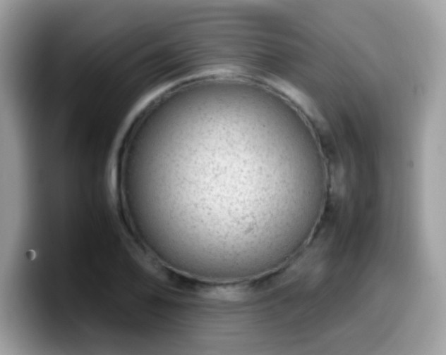 X0000099991078200805301408