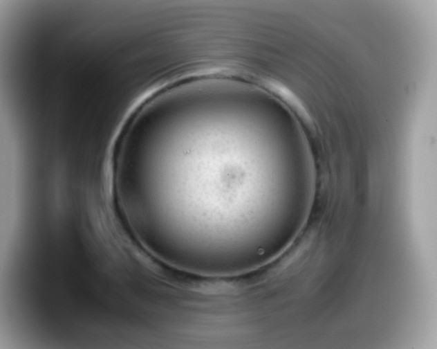 X0000099991079200805301408