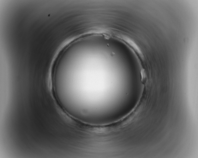 X0000099991080200805301408