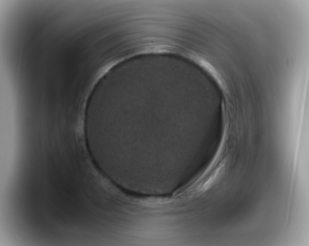 X0000099991081200805301408