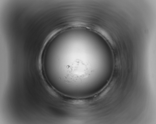 X0000099991082200805301408