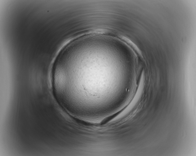 X0000099991083200805301408
