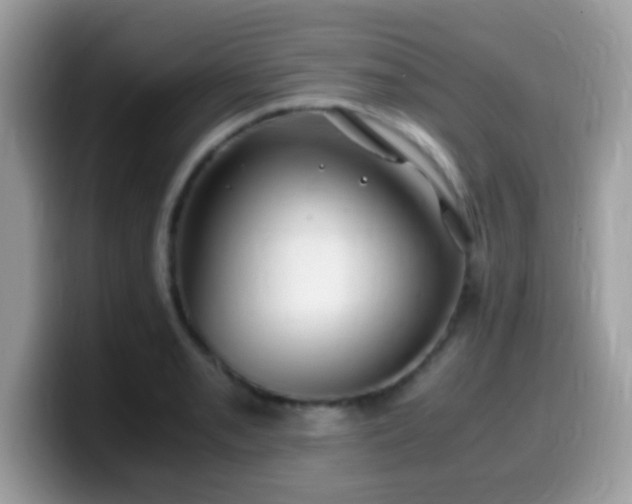 X0000099991085200805301408