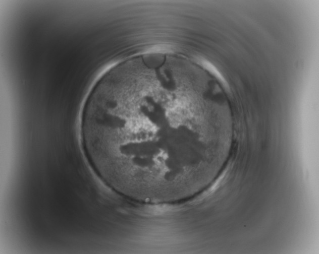 X0000099991087200805301408
