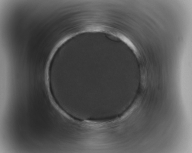 X0000099991088200805301408