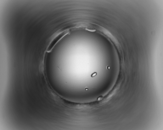 X0000099991089200805301408