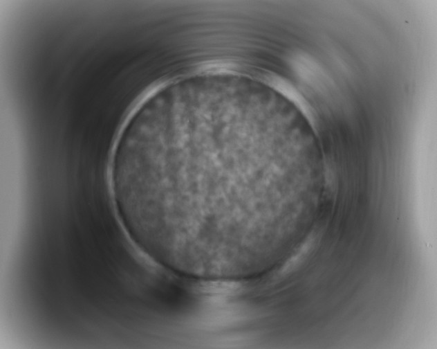 X0000099991090200805301408