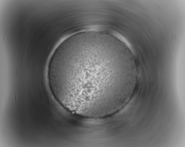 X0000099991091200805301408