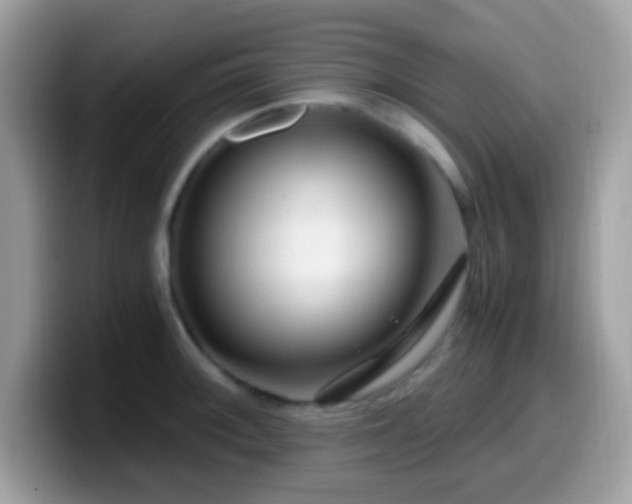 X0000099991092200805301408