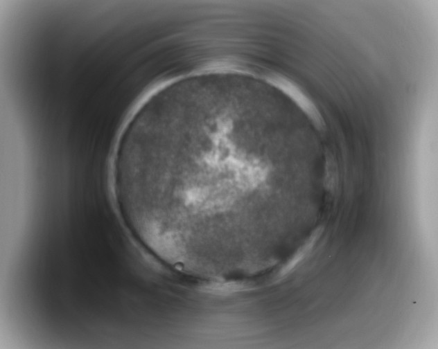 X0000099991094200805301408