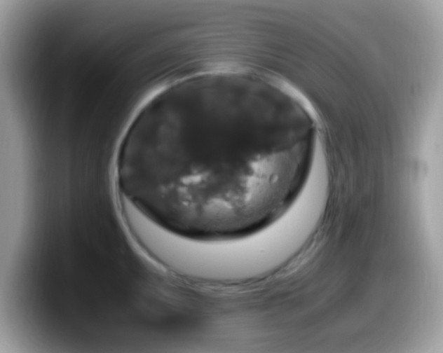 X0000099991095200805301408