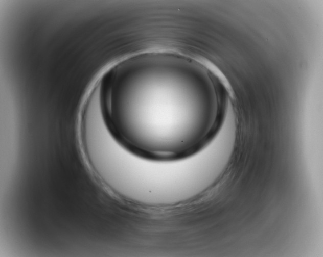 X0000099991096200805301408