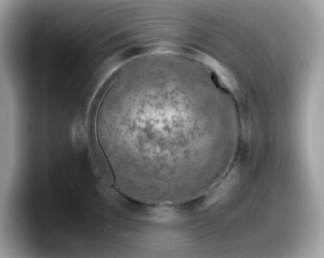 X0000099991097200805301408