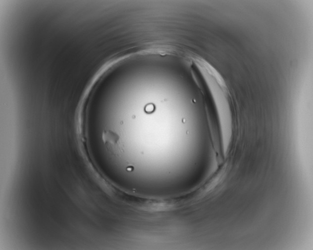 X0000099991099200805301408