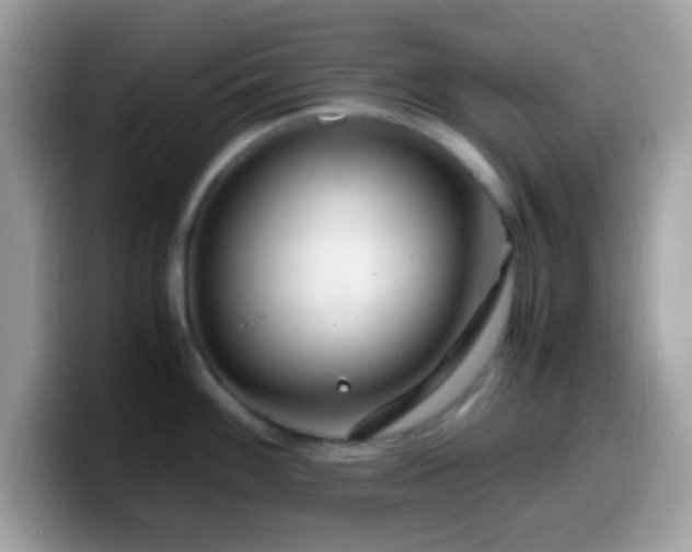 X0000099991100200805301408