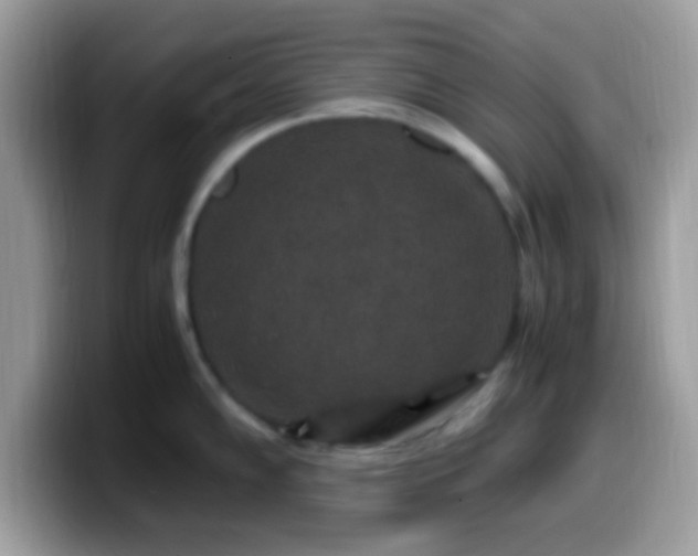 X0000099991102200805301408