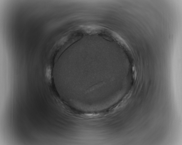 X0000099991108200805301407